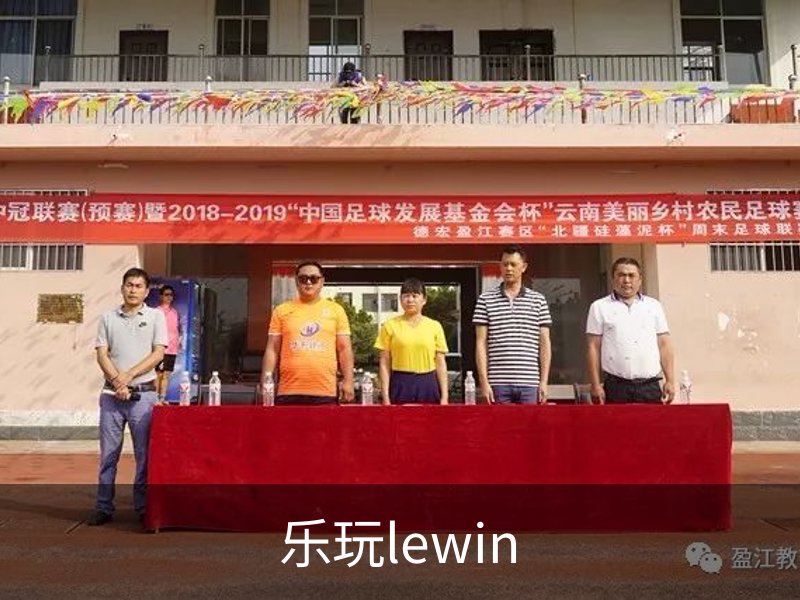 乐玩lewin概况